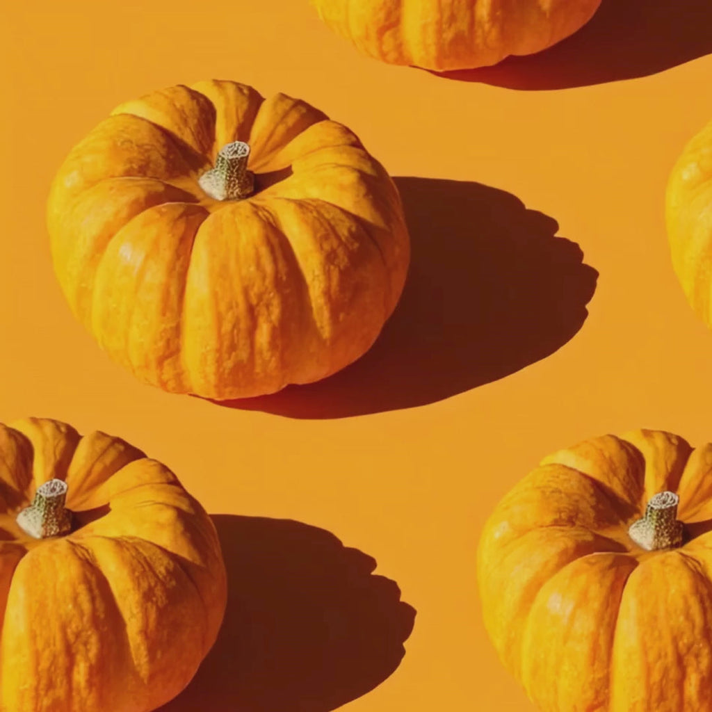 Organic Pumpkin Shea Sugar Body Scrub